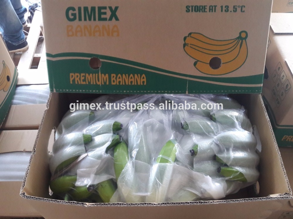 VIETNAM-FRESH-BANANA-CHEAP-84984418844 (3).jpg