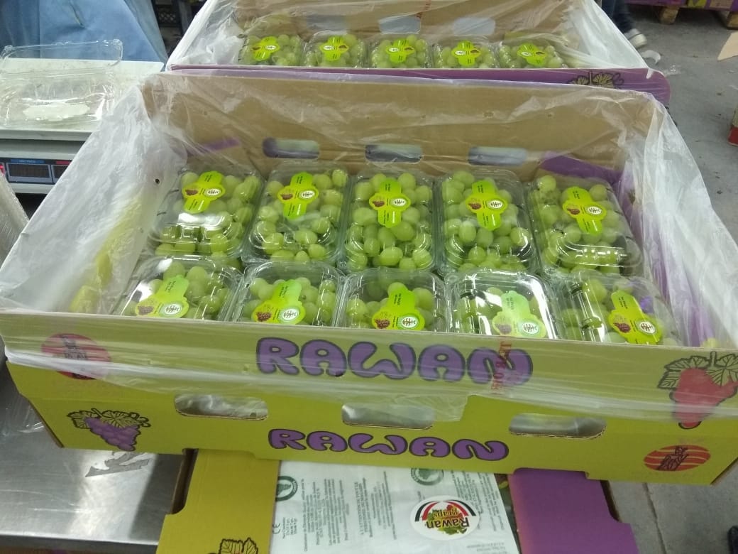 IMG-20190524-WA0013.jpg