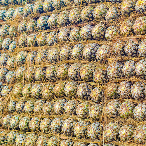 Pineapple.png