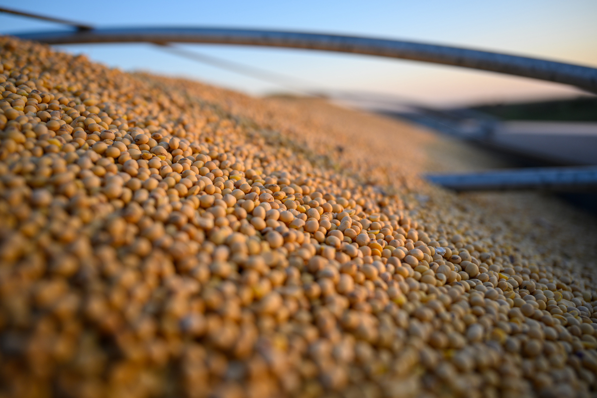 62735-4_IRR_EarnM_PRelease_1200x800_Soybeans_GrainTruck.jpg