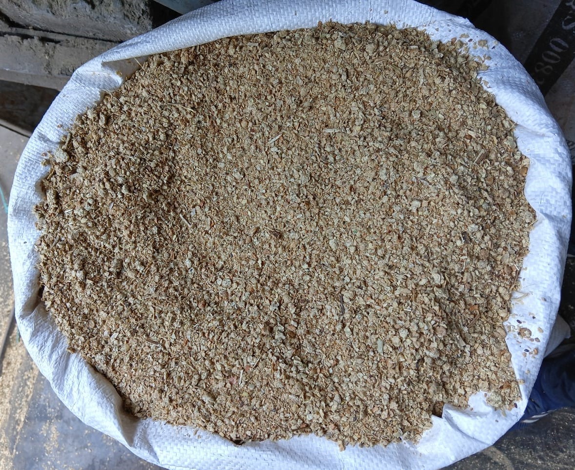 WhatsApp Image 2024-12-17 at 12.20.40 PM (1).jpeg