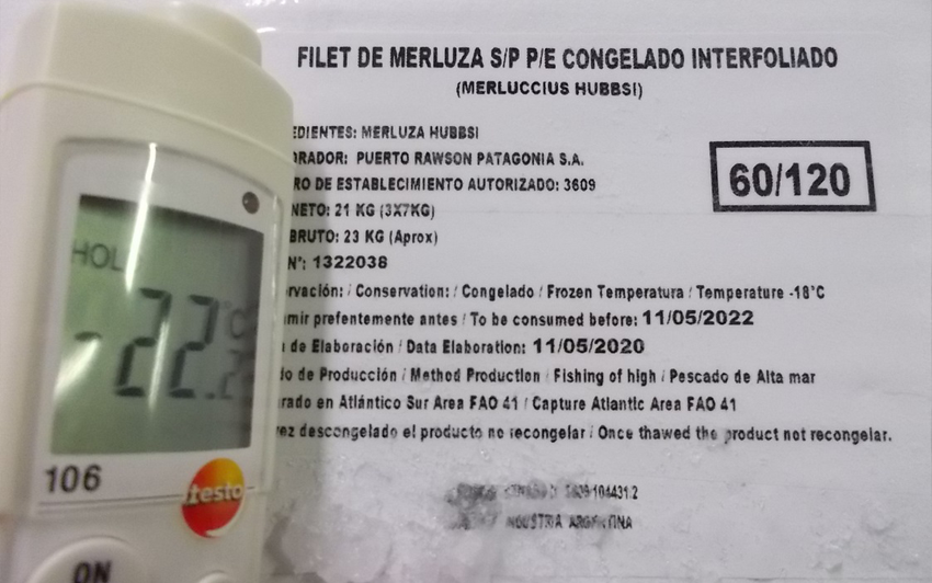 hake2 temperatura Puerto Rawson patagonia.png