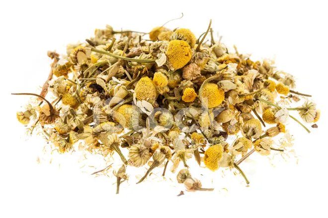 Chamomile.webp