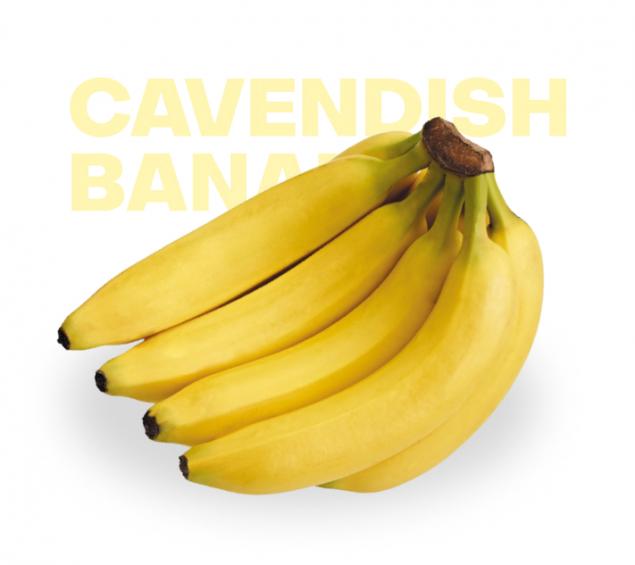 kavendish-banan-5972-2x635x635x0x0x0.jpg