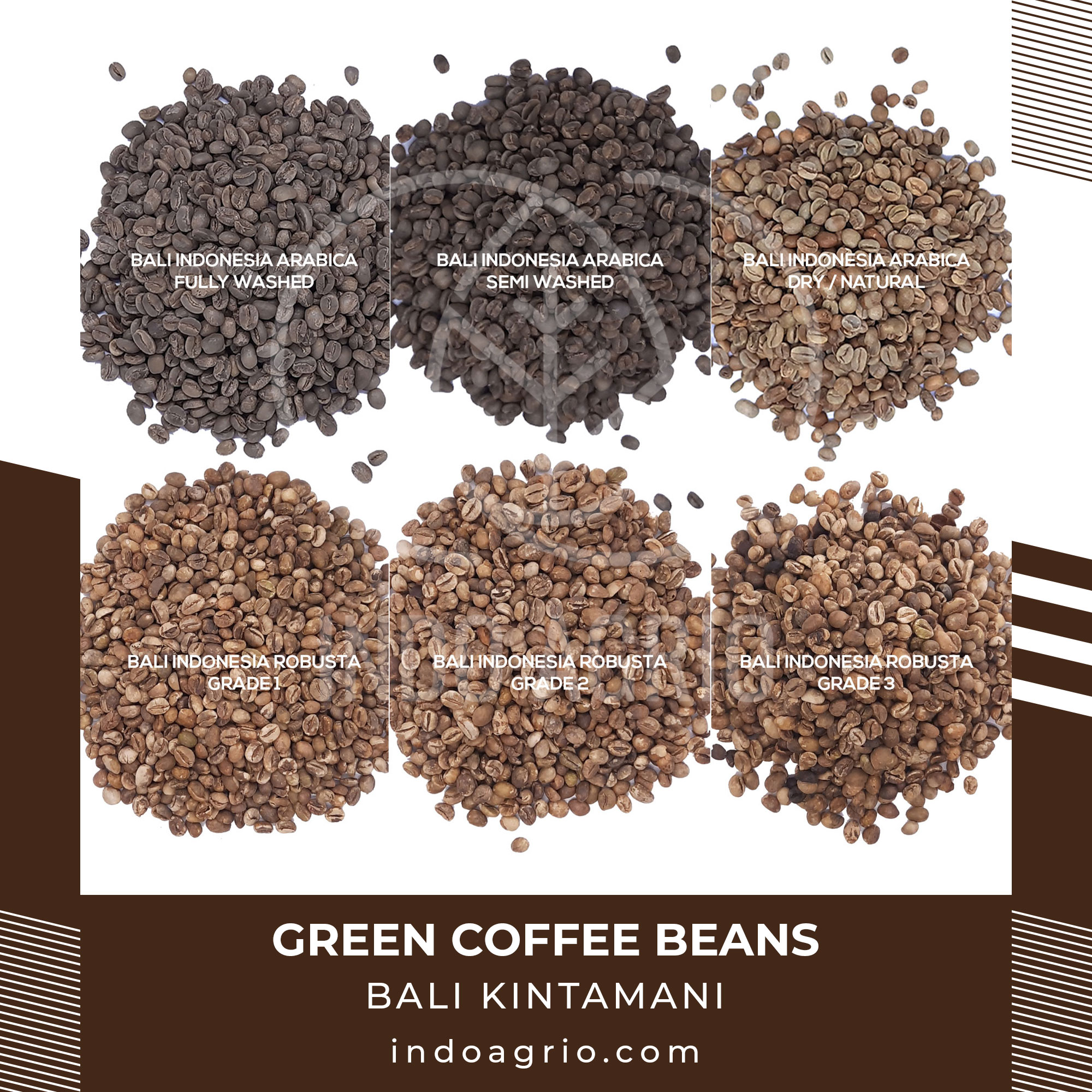 green-coffee-beans-arabica-and-robusta.jpg