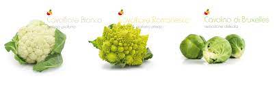Serrafrutta - Products