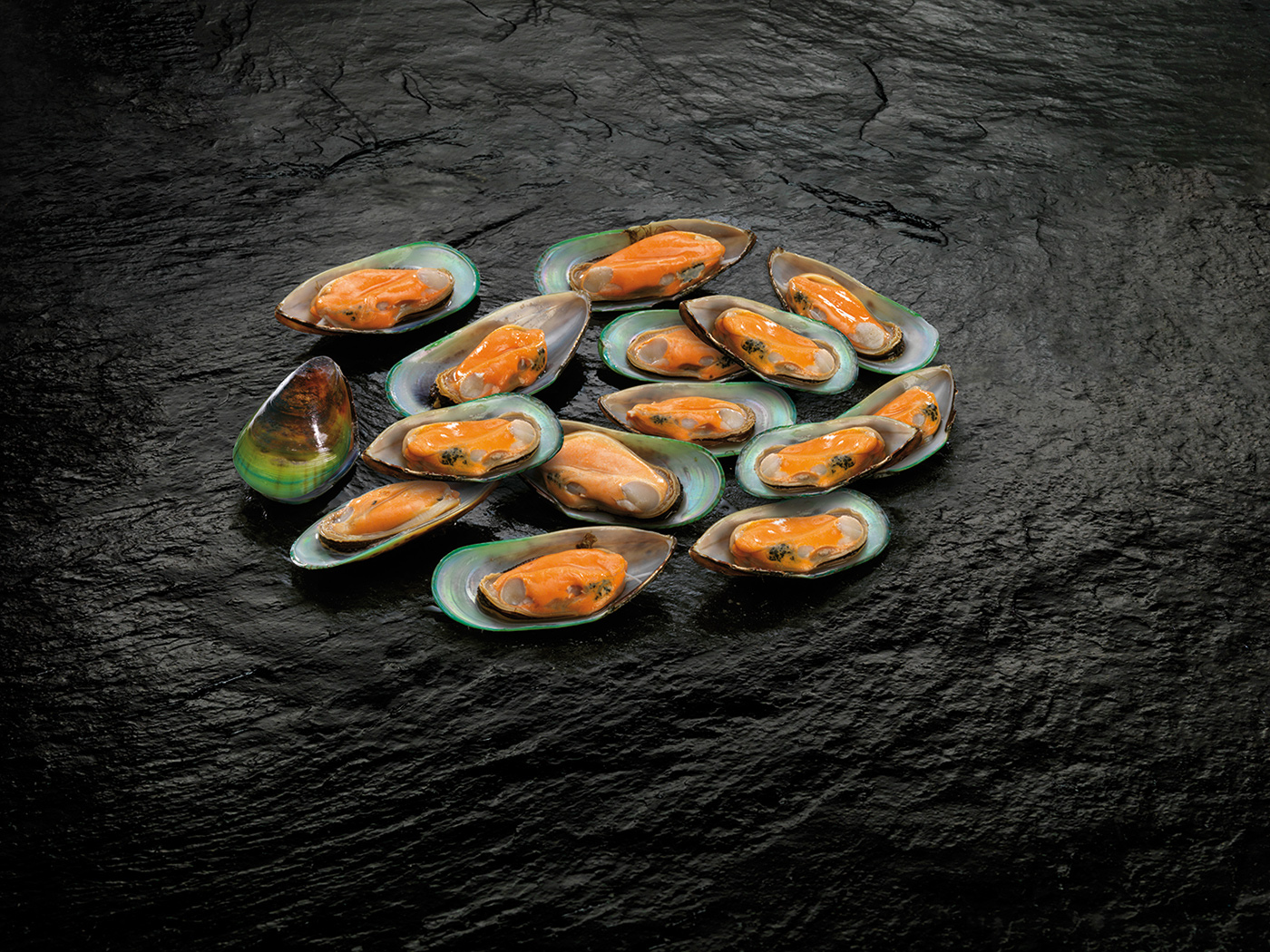 Half-Shell-New-Zealand-Greenshell-Mussels.jpg