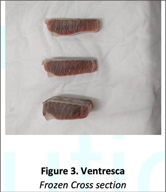 Figure 3.png