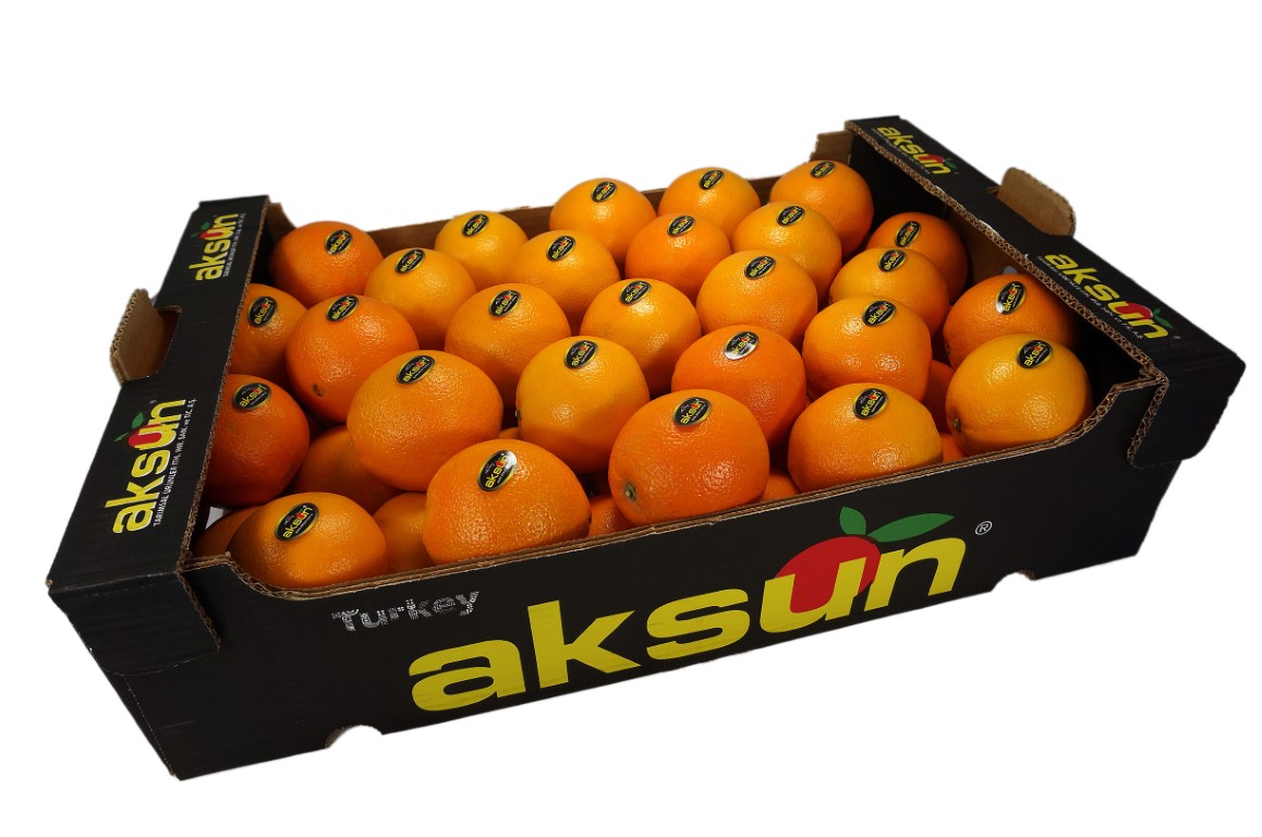 Orange 55_1.jpg