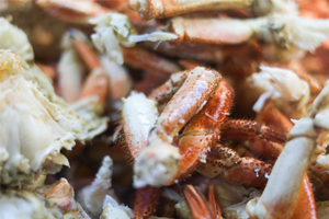 crab_legs.png
