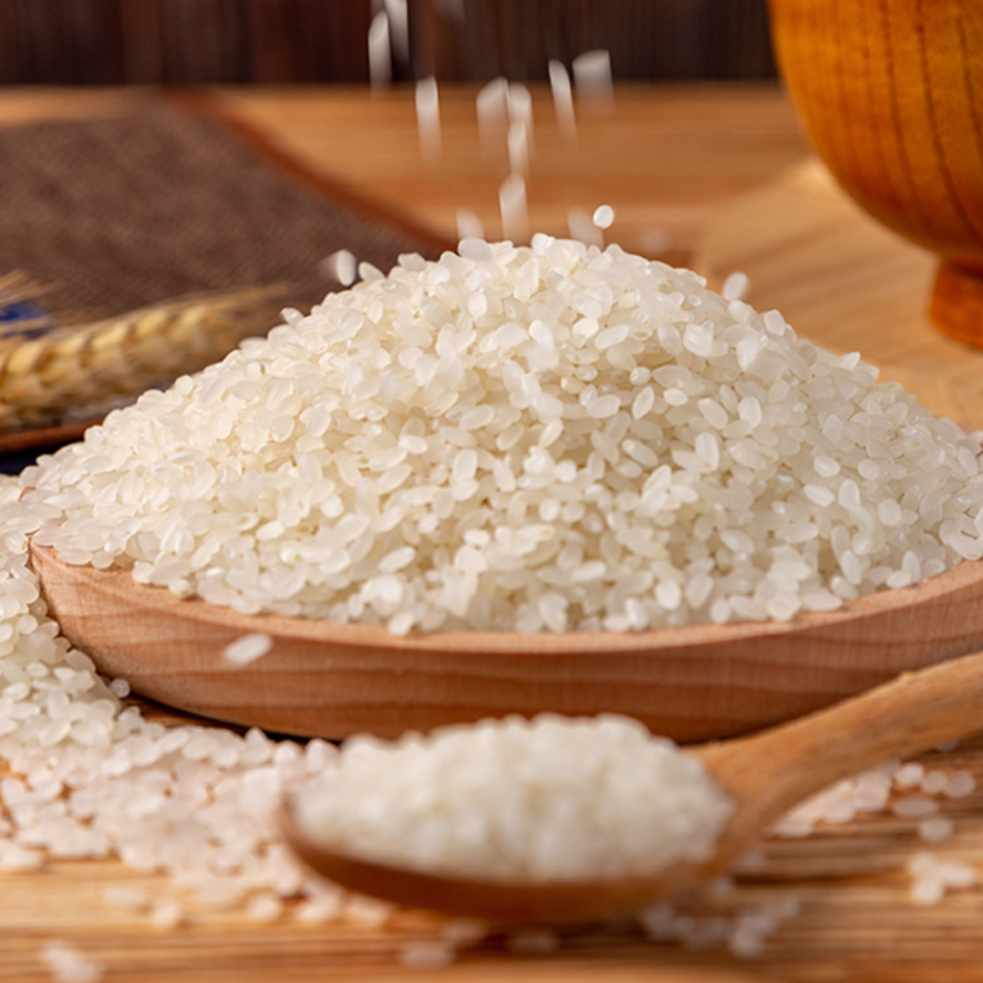 Japonica Rice (1).PNG