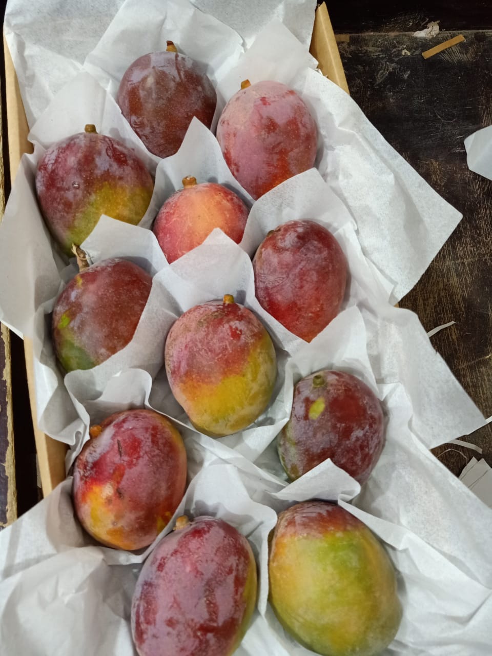 WhatsApp Image 2023-07-01 at 9.17.05 PM (2).jpeg