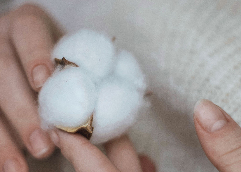 natural-cotton-wadding-wool-valley-27_ed02e816-c5c0-4976-a32b-b1f7b20ad269.jpg