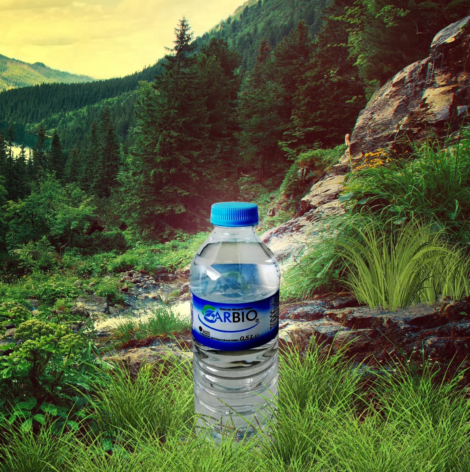 Sarbio 0.5L Water.jpeg