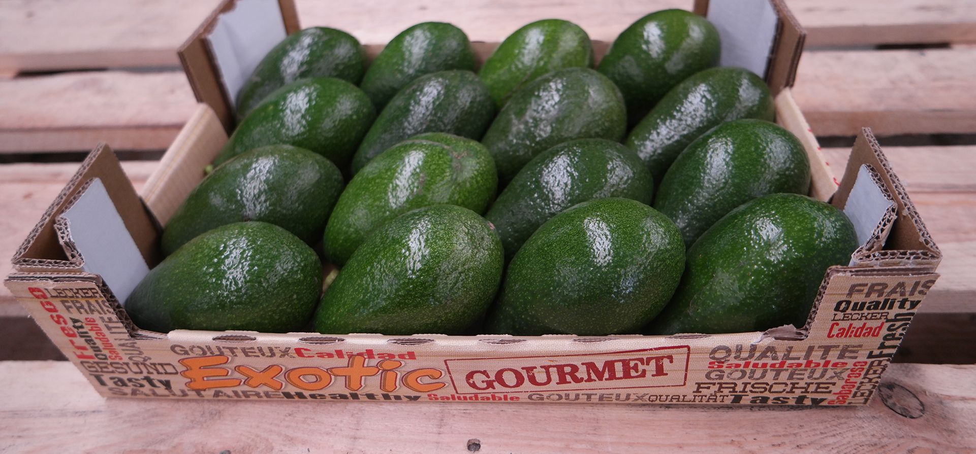 caja-exotic-gourmet-palet.jpg