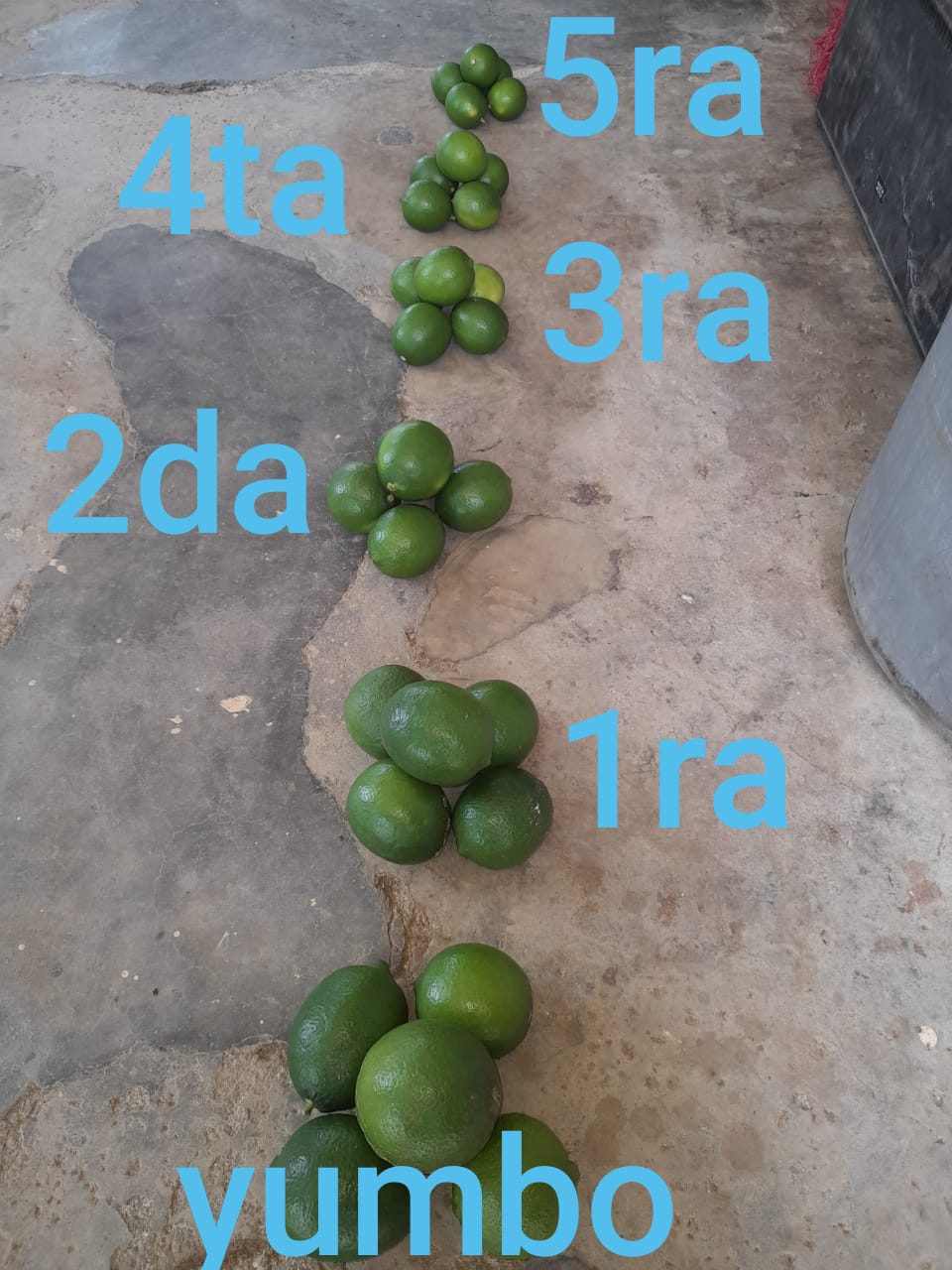 WhatsApp Image 2022-02-21 at 12.50.36 PM.jpeg
