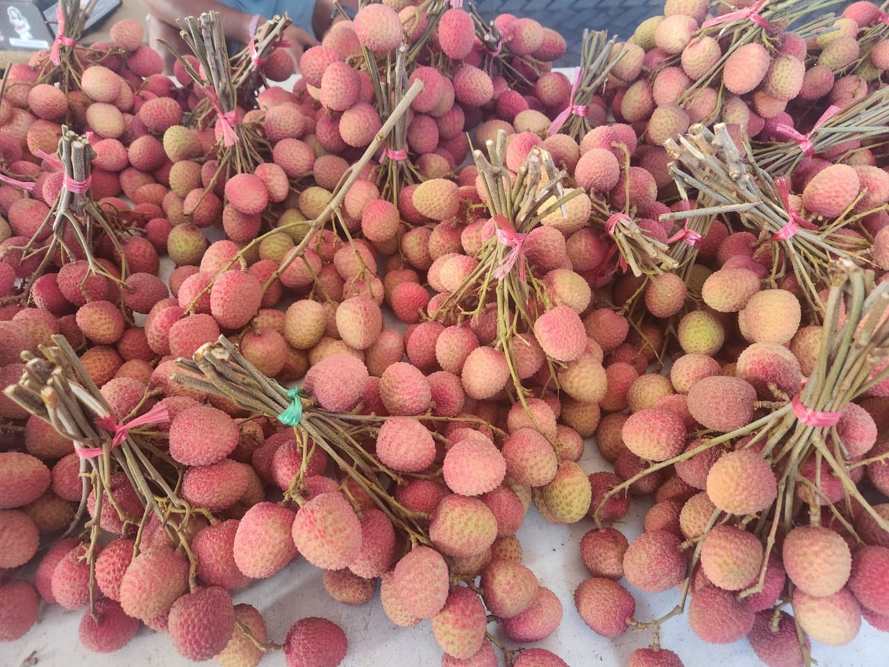 Litchis Ile Maurice#Kodra-Export 3.JPG