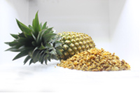 sl-DriedPineappleDices.jpg