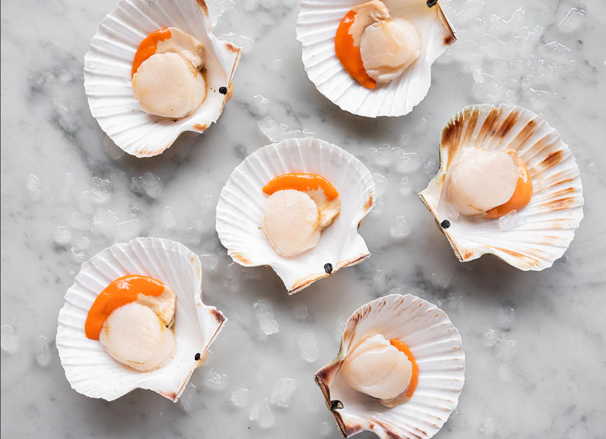 Screenshot 2023-03-20 162710.png