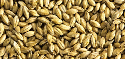 maris_otter_malt_004-420x200.jpg