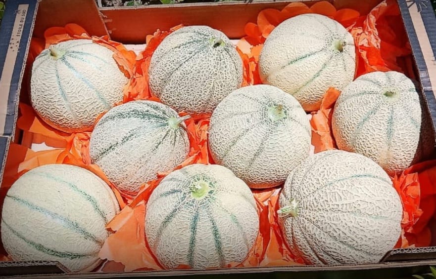 WhatsApp Image 2022-03-21 at 00.43.27 (1).jpeg