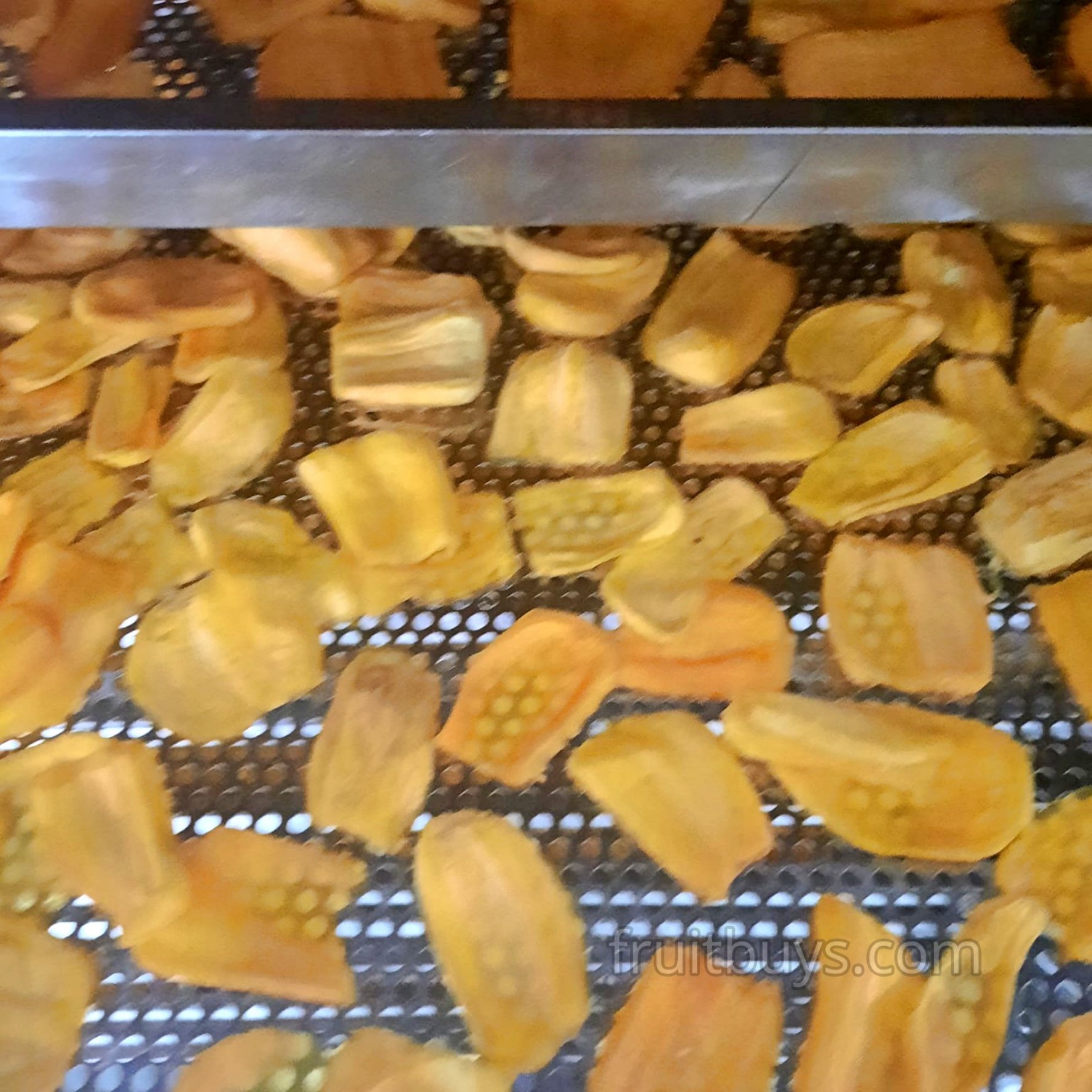 Soft Dried Jackfruit Slices No Sugar-FruitBuys Vietnam (2).jpg