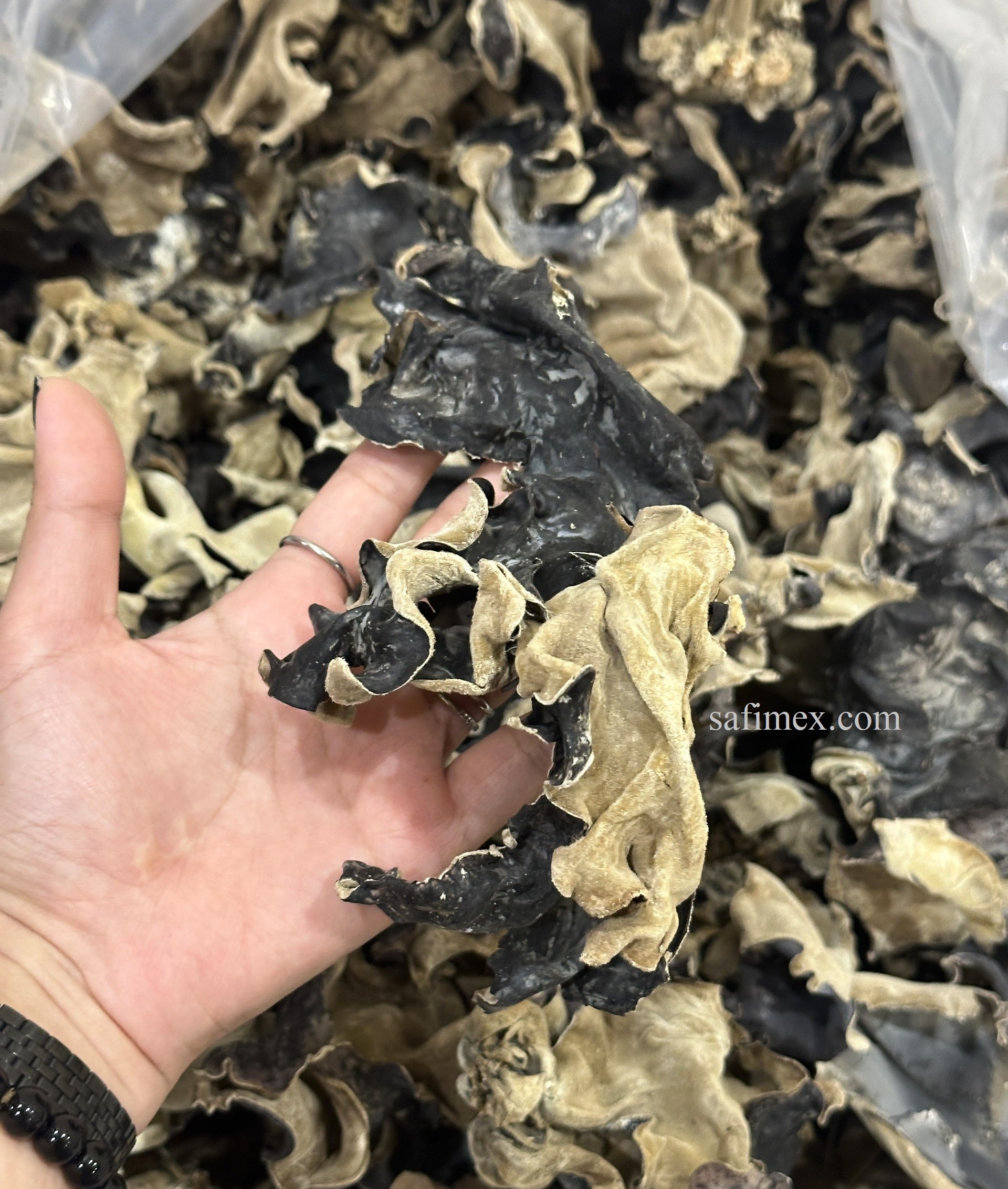 wood ear mushroom5.jpg