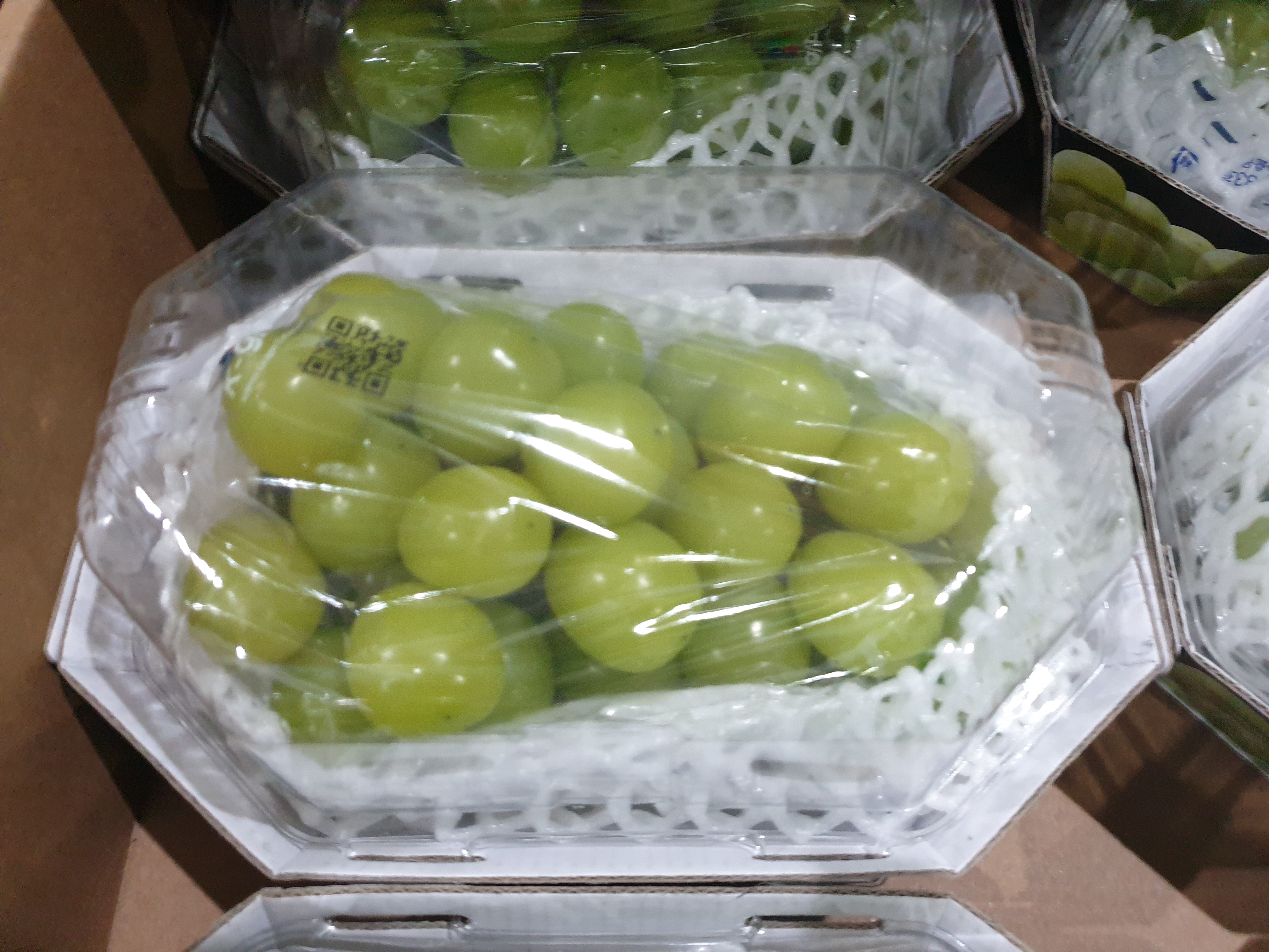 KakaoTalk_20240509_145934411_02.jpg