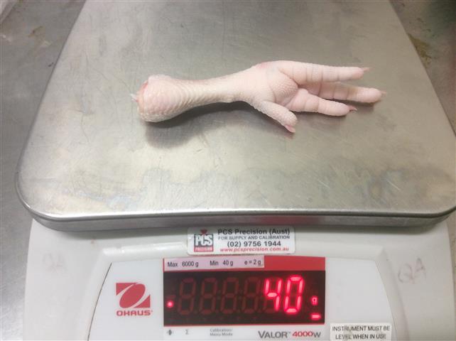 Feet A Grade on scale 2.JPG