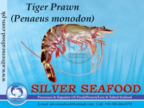 Tiger-Prawn.jpg-nggid03198-ngg0dyn-300x220x100-00f0w010c010r110f110r010t010.jpg