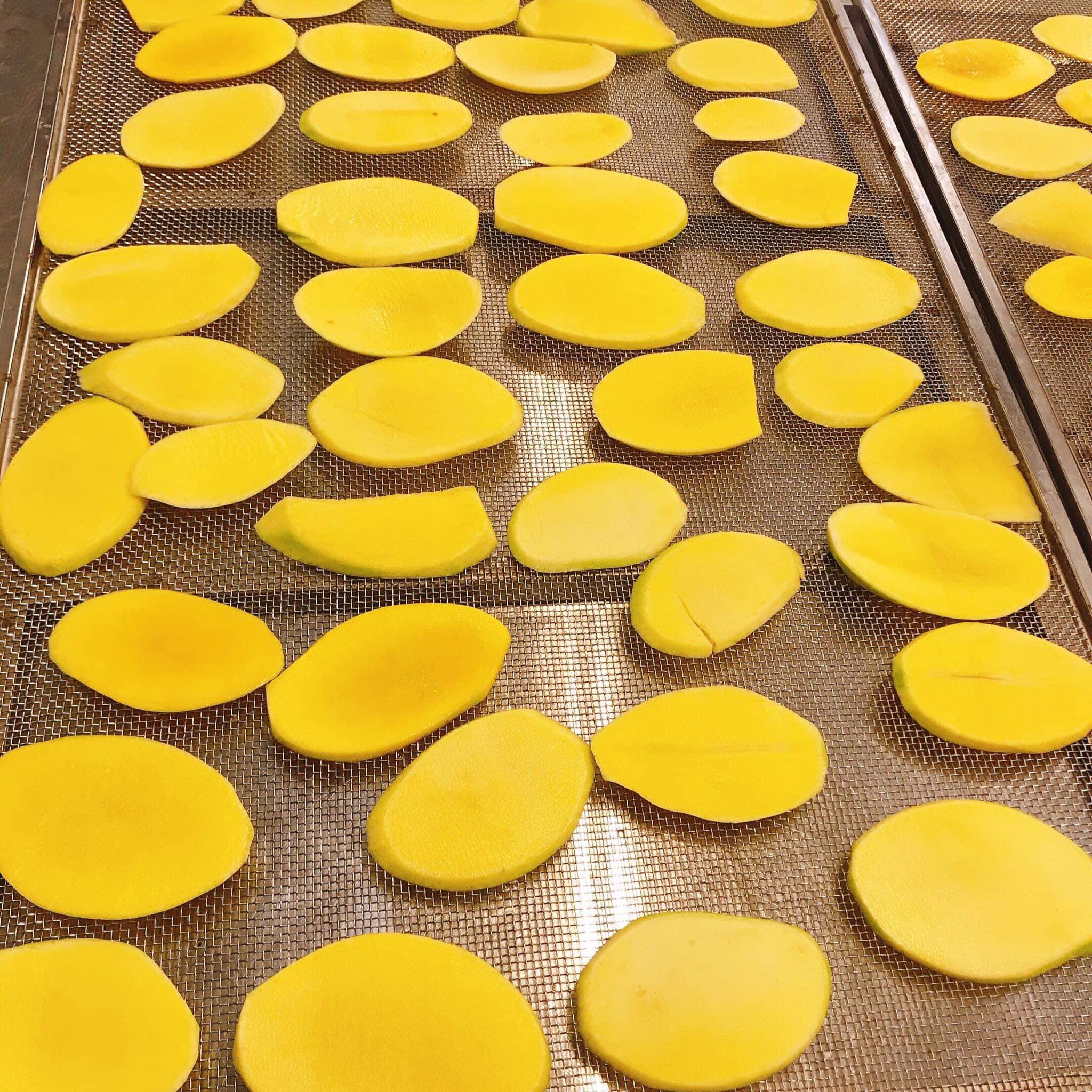 mango process.jpg