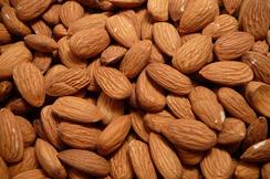 Cal Prune & Nuts, LLC