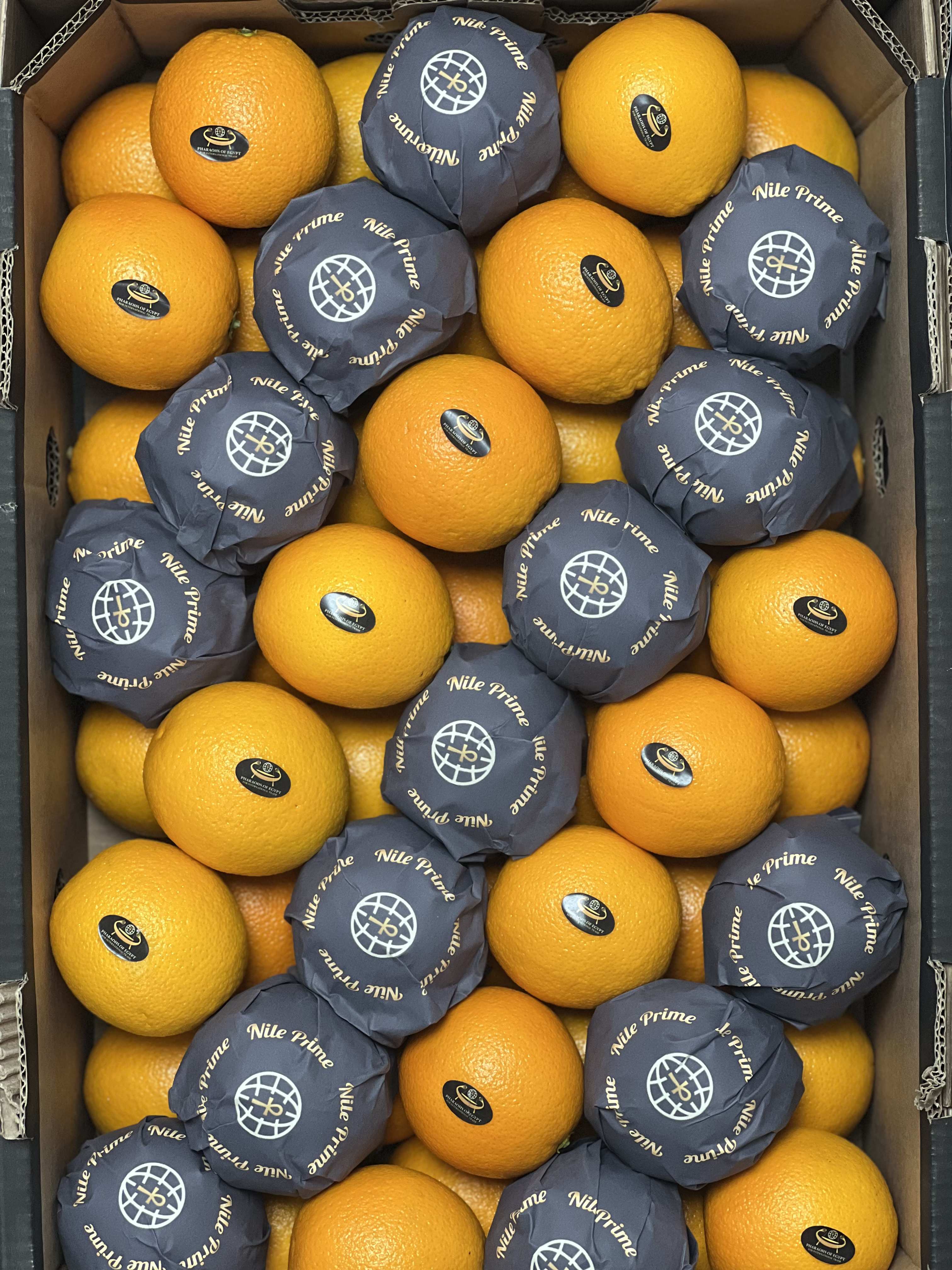 PEI Trade Oranges V (4).jpeg