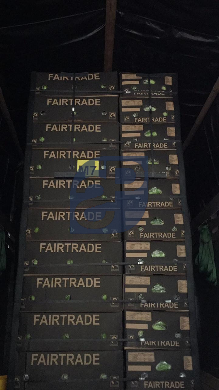 Bananas #26 - Standard & Partners.jpg