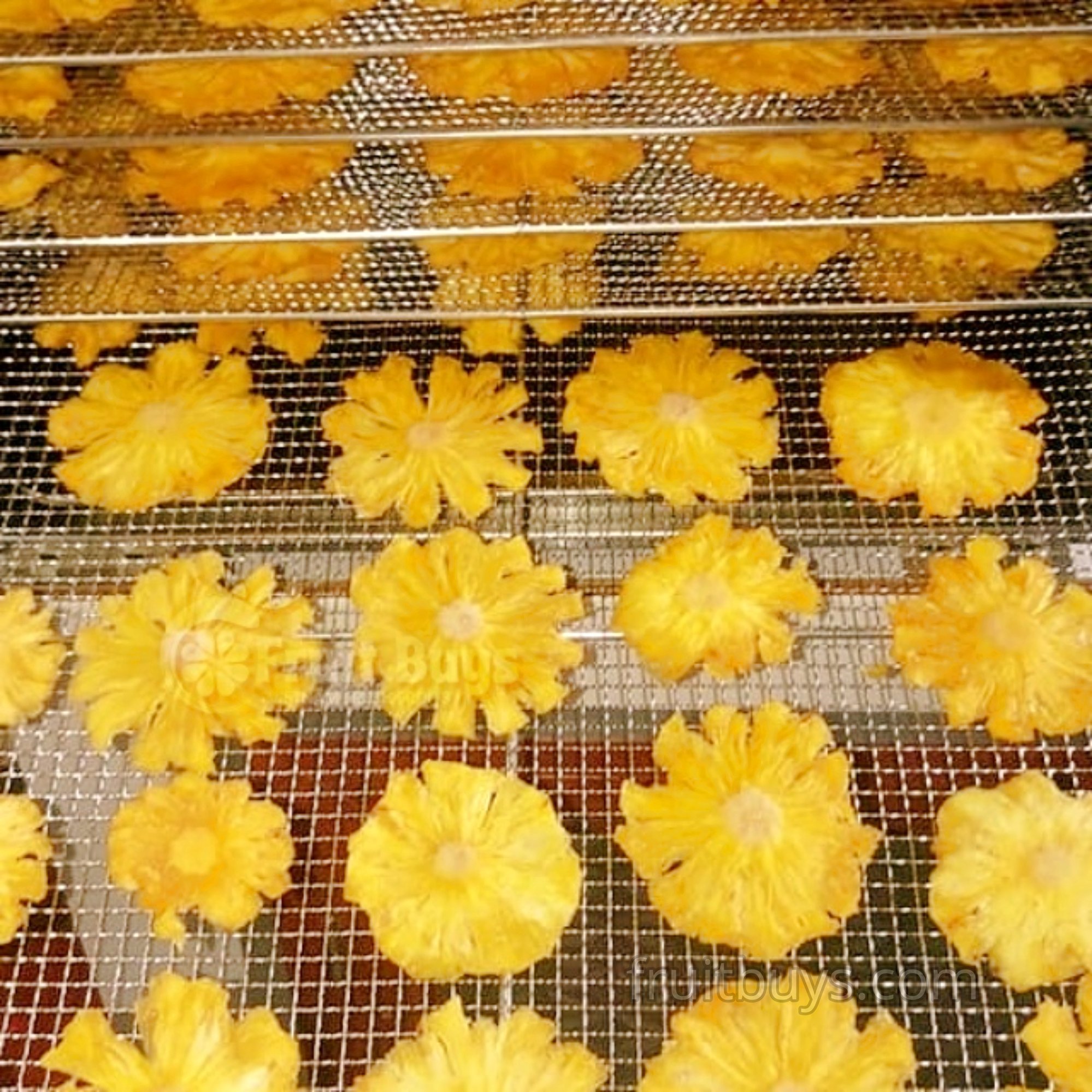Dried Pineapple Ring-FruitBuys Vietnam (2).jpg
