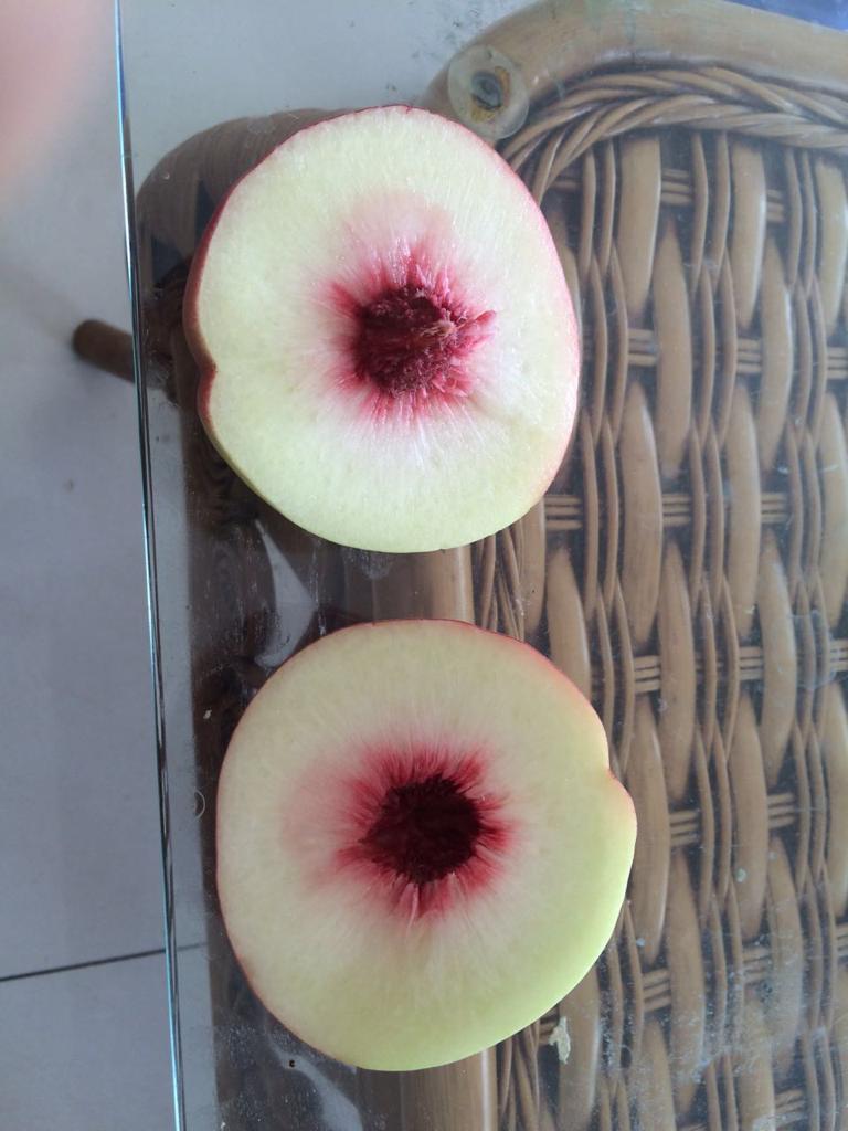 WhatsApp Image 2022-05-13 at 9.23.46 PM.jpeg