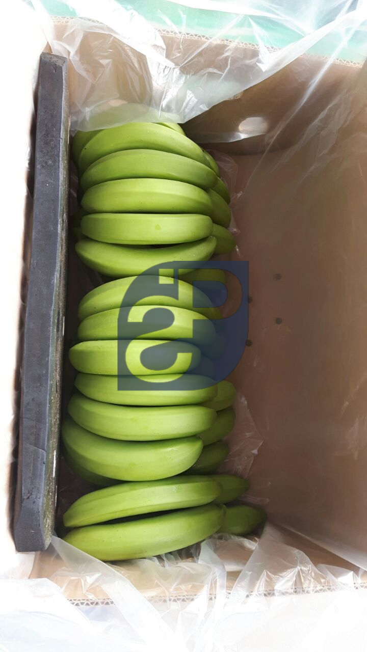 Bananas #16 - Standard & Partners.jpg