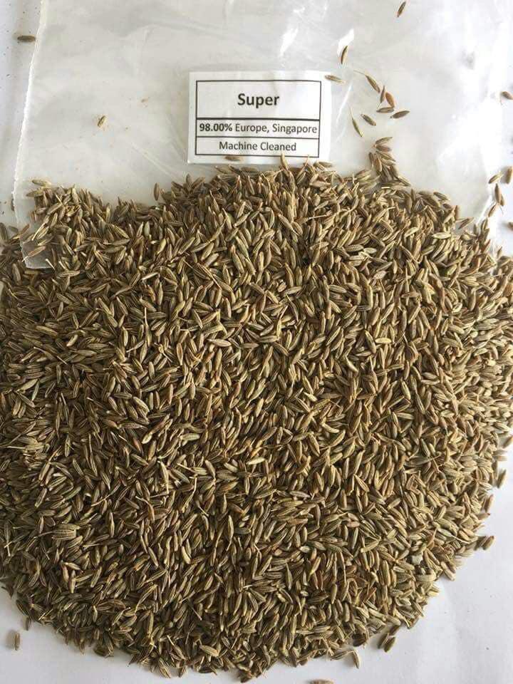 cumin seed_super.jpeg