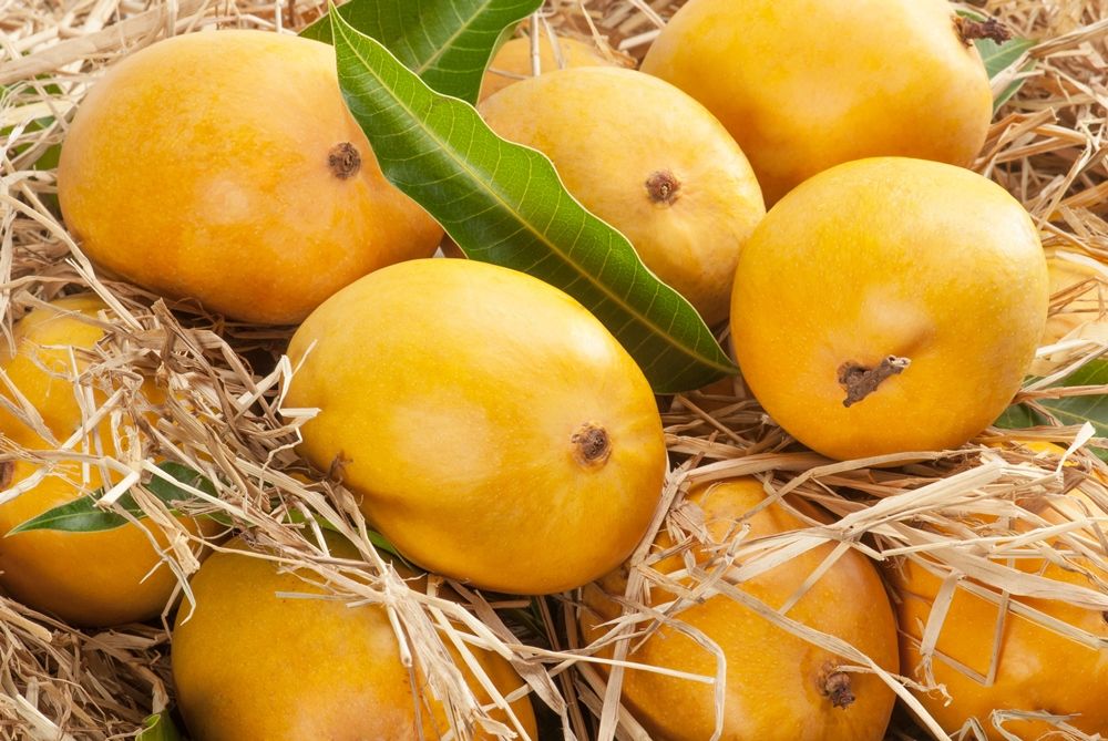 mangoes.jpg