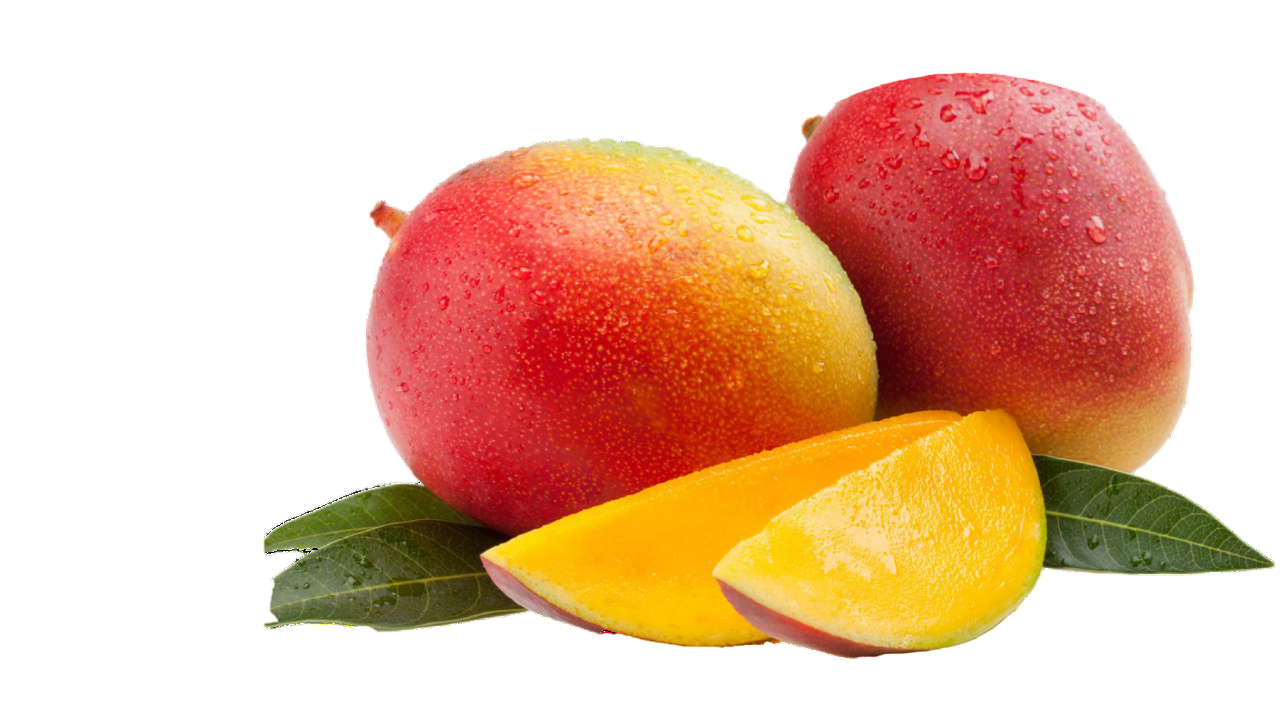 PORTADA-MANGO-KENT-1-PhotoRoom.png-PhotoRoom.png