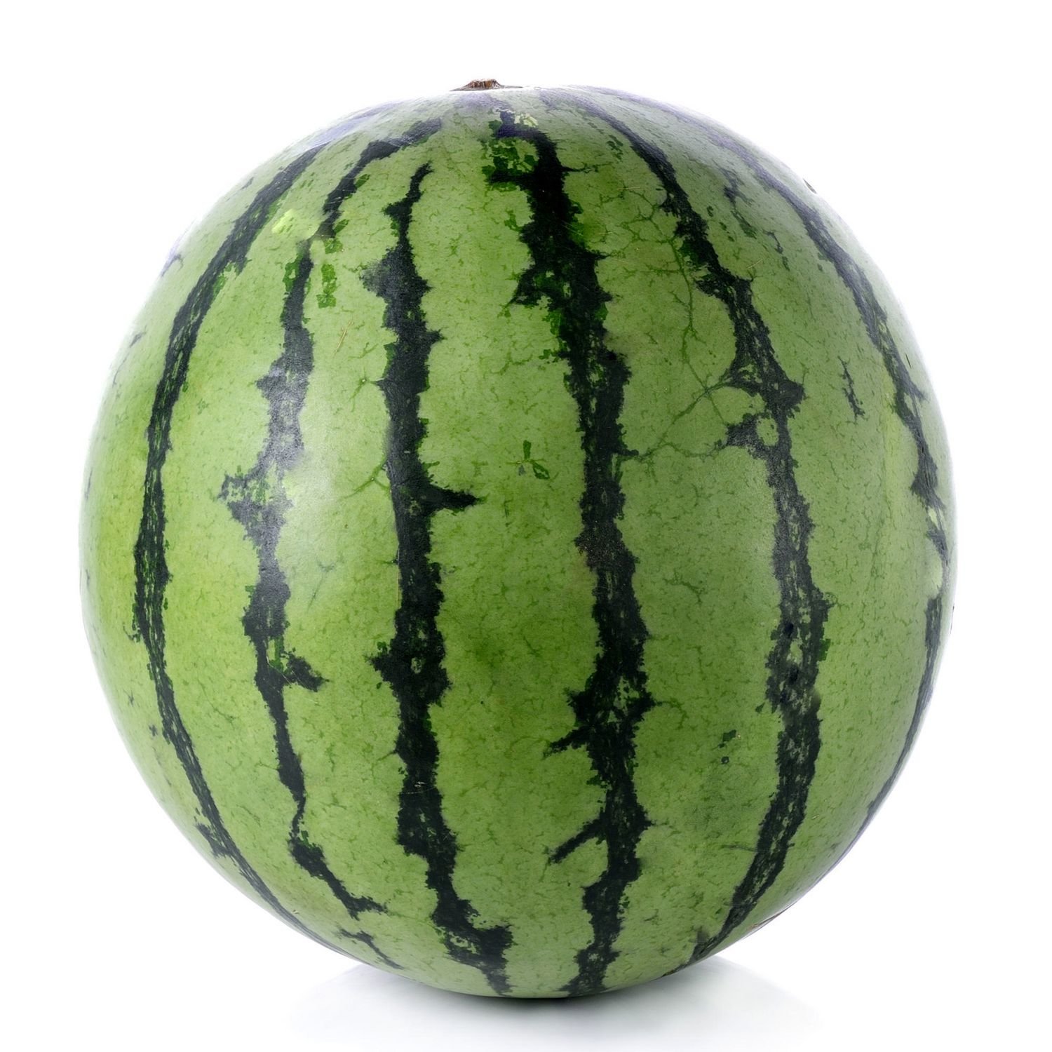 1.jpeg