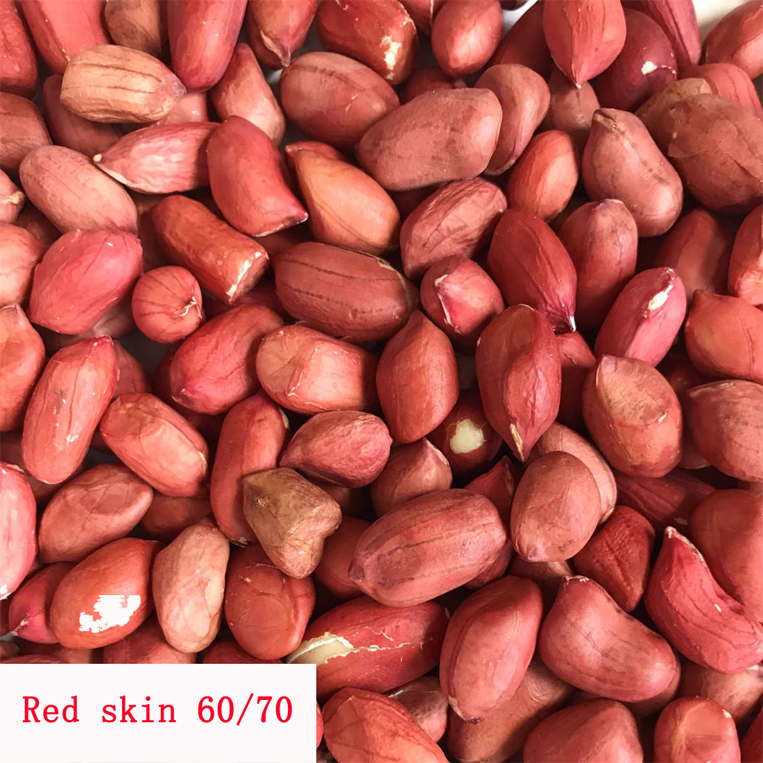 red 6070.jpg