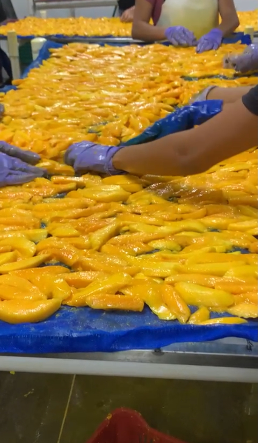 separacion de mango.jpg