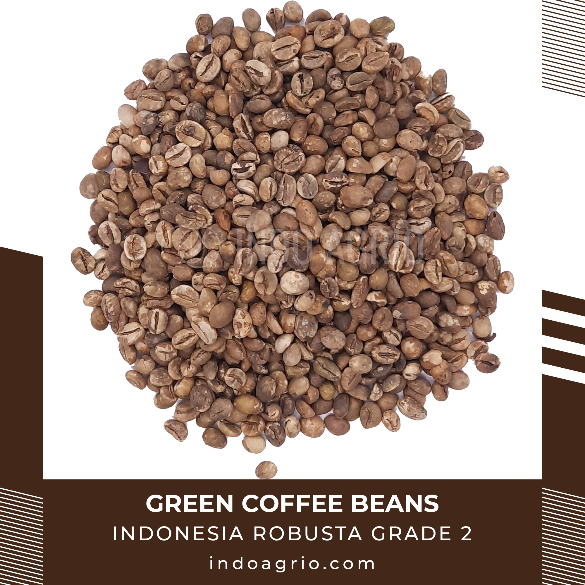 ROBUSTA-GRADE-2.jpg