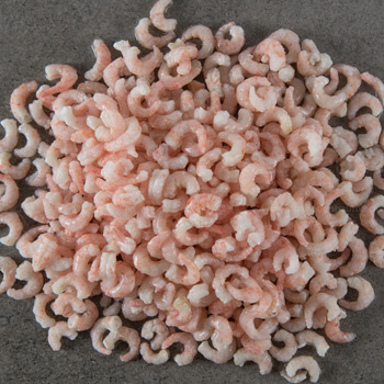 shrimp-2.jpg