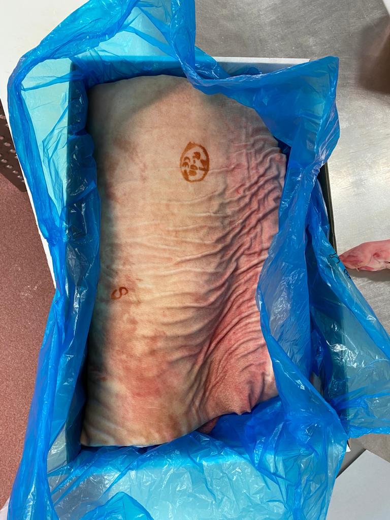Carcaça 6 cortes - Carcass 6 cuts (3).JPG