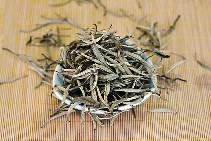 white-tea-cover.jpg