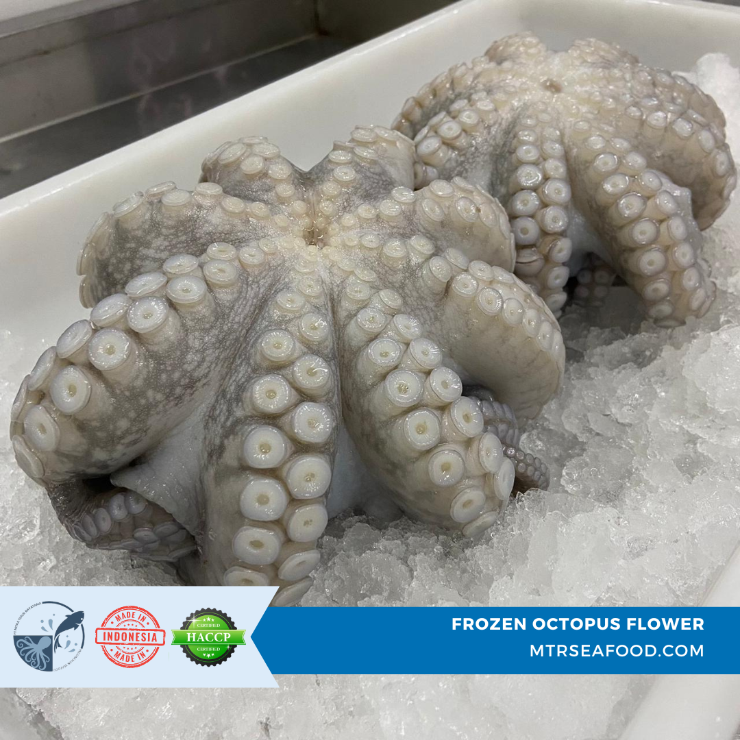 FROZEN OCTOPUS FLOWER MTRSEAFOOD.COM.png