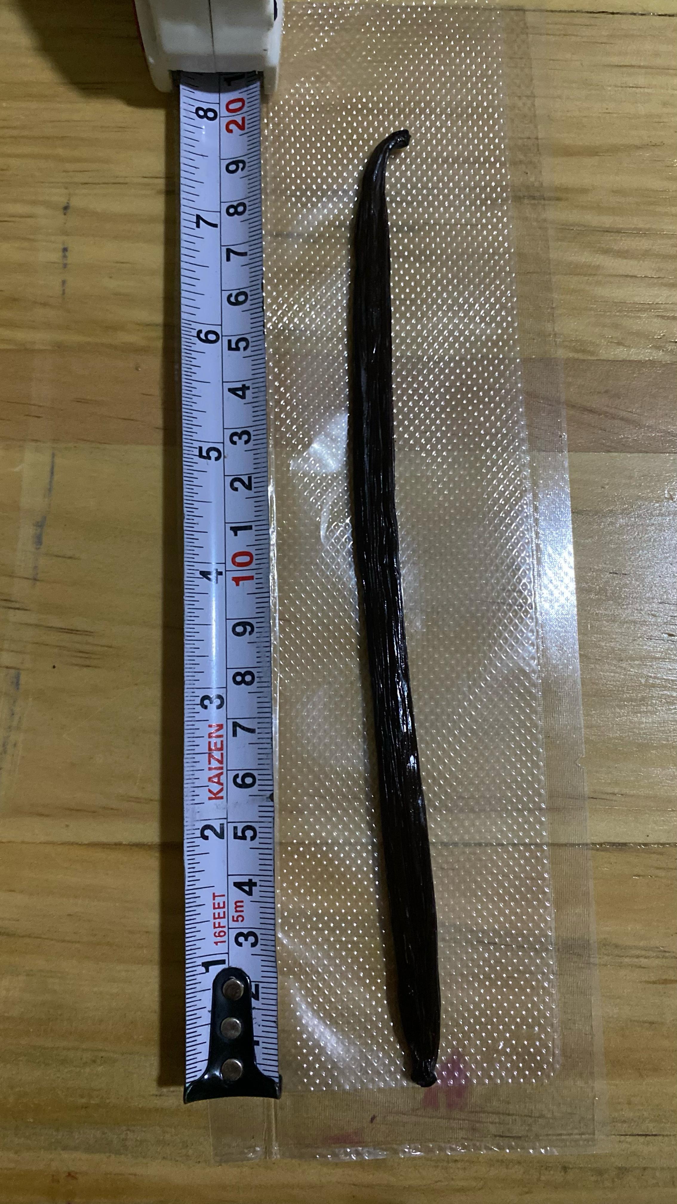 Panjang Vanilla Planifolia Gourmet 20cm.jpg