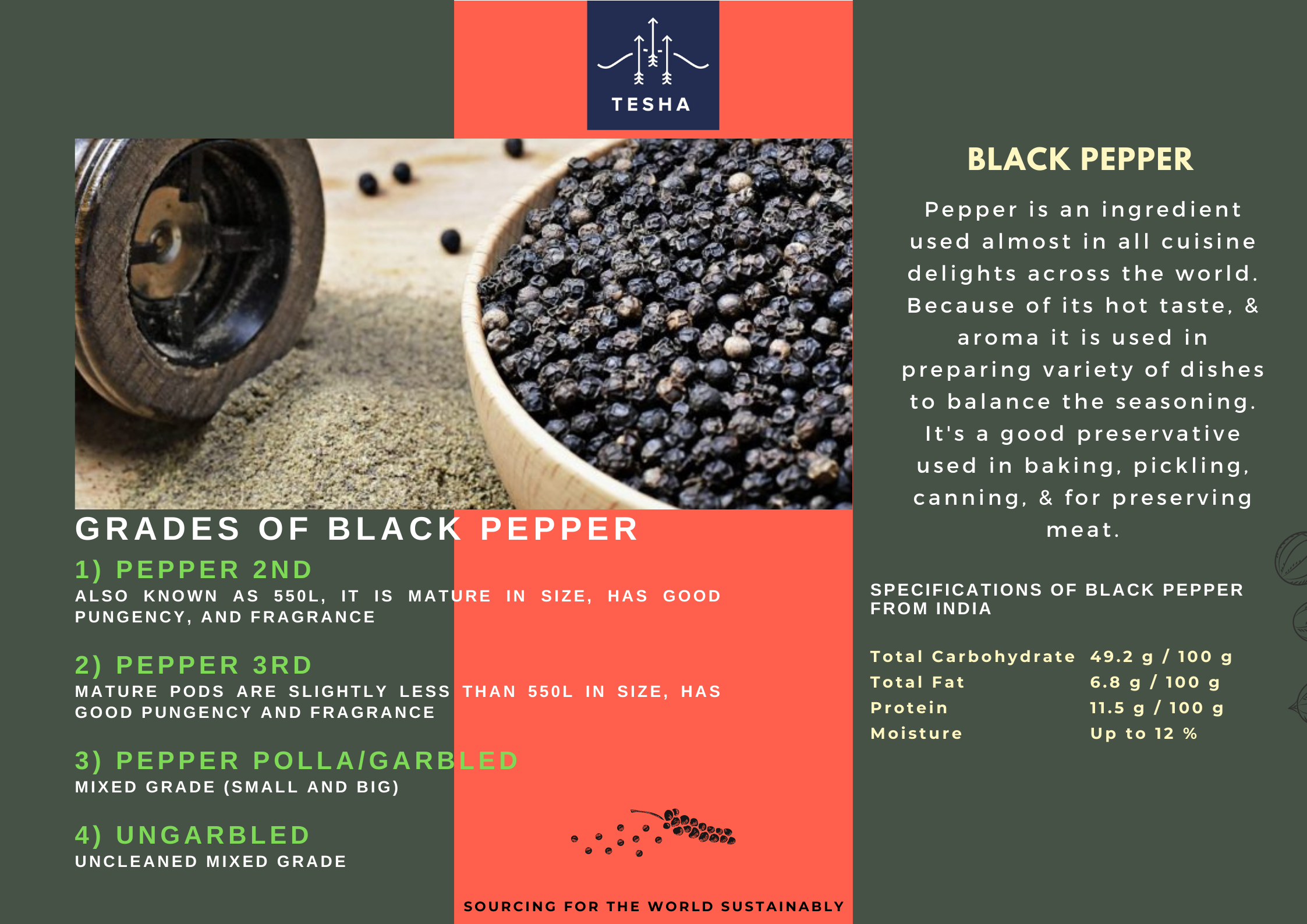 Black Pepper Infographic.png